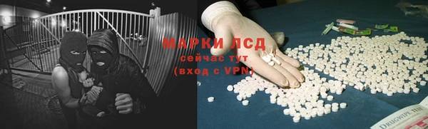эйфоретик Баксан