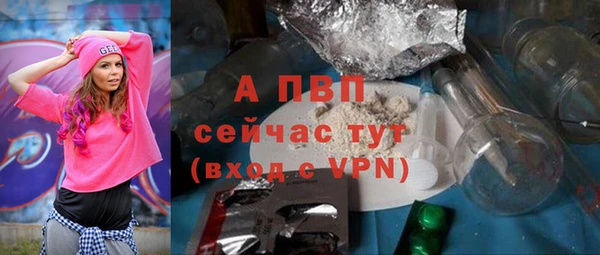 эйфоретик Баксан