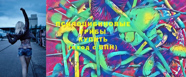 spice Балахна